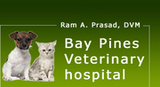 Bay Pines Veterinary Hospital - http://baypinespetdoc.com